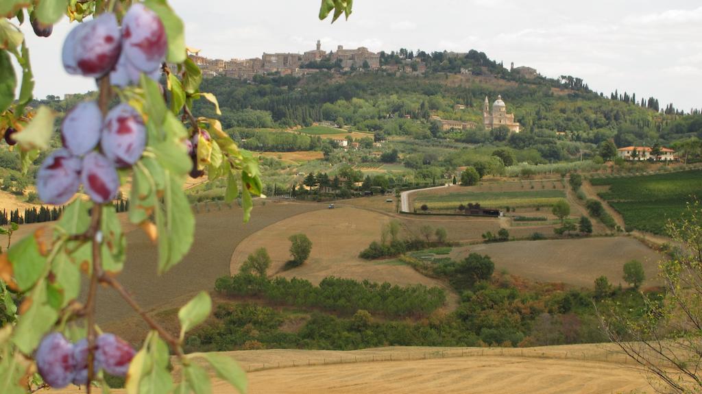 Agriturismo Villa Mazzi Montepulciano Stazione Exteriér fotografie